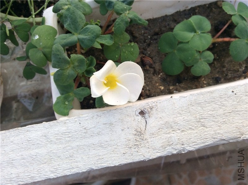 QQͼƬ20131202124931.jpg