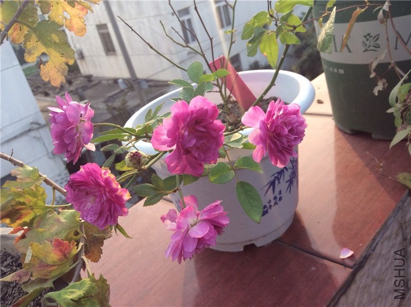 QQͼƬ20131202124927.jpg
