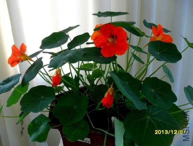 12-2-15-43-36.jpg