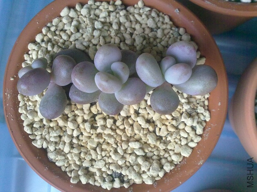 Ϊ�������ܵ���һ��