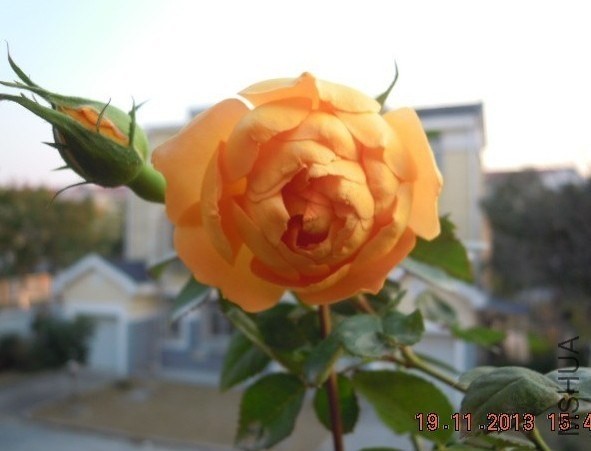 QQͼƬ20131203101712.jpg