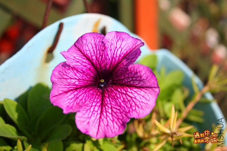 ��Ƭ 078_����.jpg