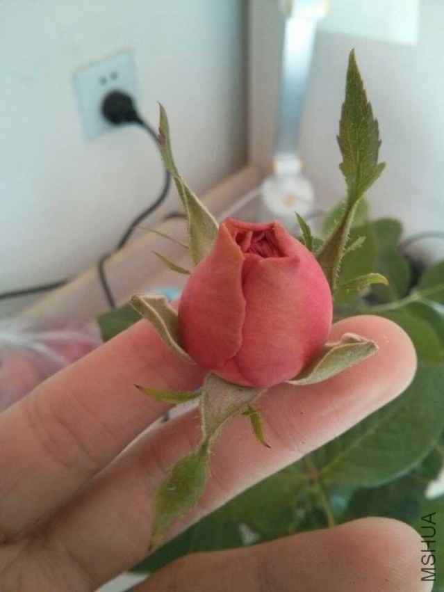 QQͼƬ20131203132217.jpg