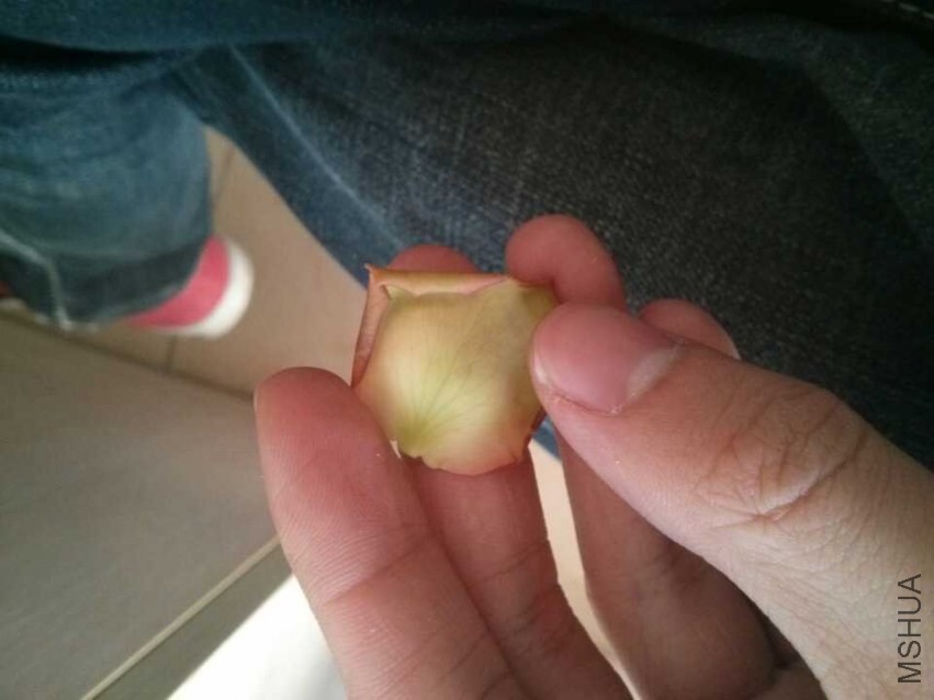 QQͼƬ20131203132231.jpg