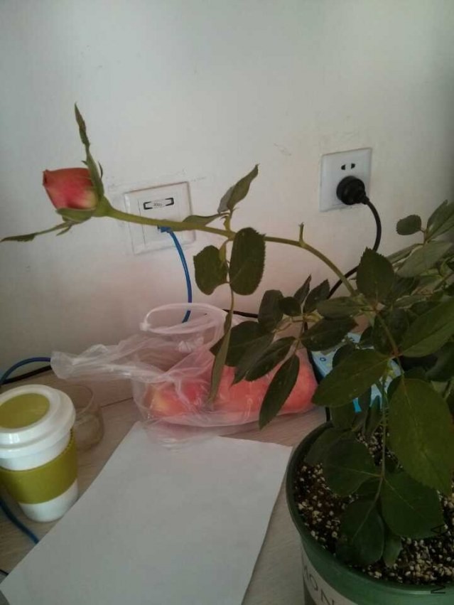 QQͼƬ20131203132237.jpg