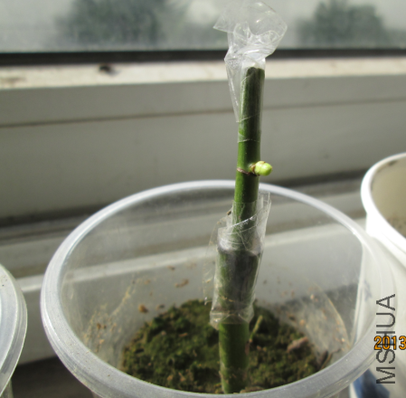 QQ��ͼ20131203162850.png