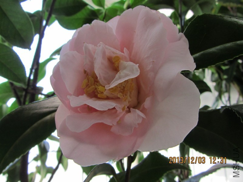 IMG_0028.JPG