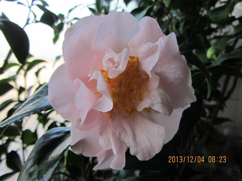 IMG_0031.JPG
