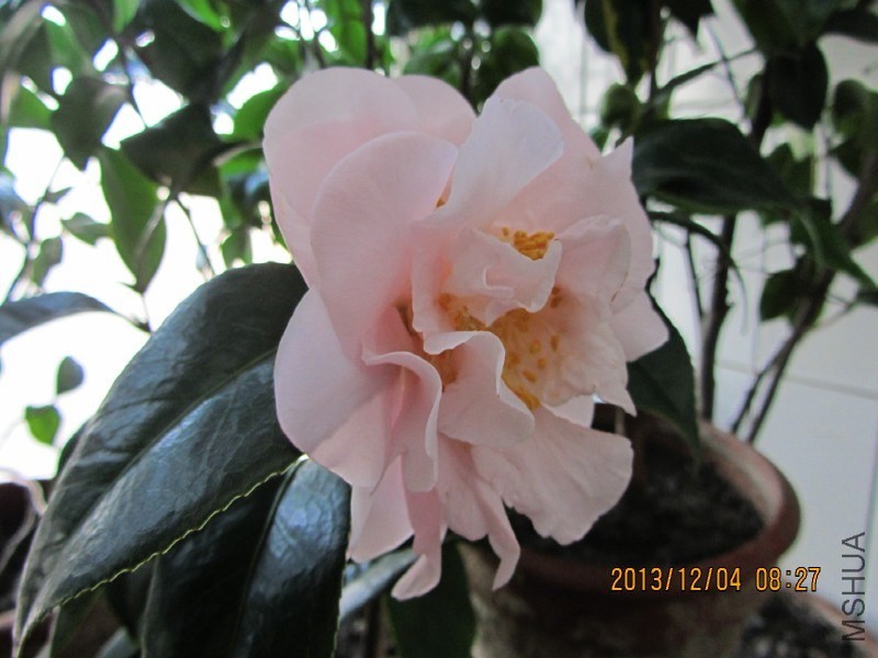 IMG_0032.JPG