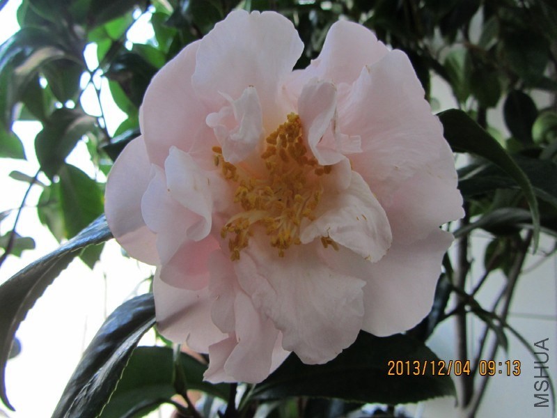 IMG_0055.JPG