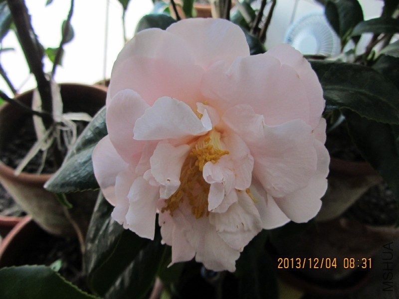 IMG_0034.JPG