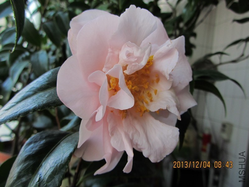 IMG_0036.JPG
