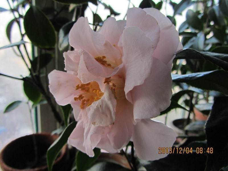 IMG_0040.JPG