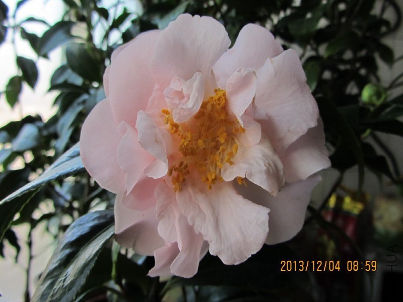 IMG_0043.JPG