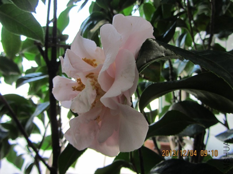 IMG_0051.JPG