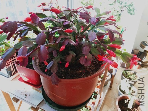 20131127_090129.jpg