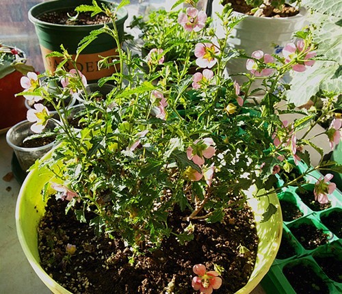 20131127_090236.jpg
