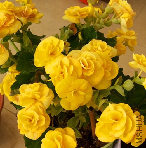 20131127_090258.jpg