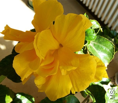 20131128_113840.jpg