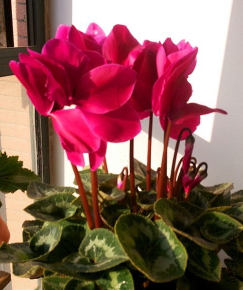 20131201_090158.jpg
