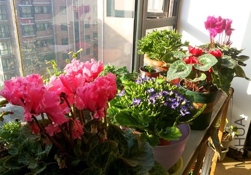 20131201_091047.jpg