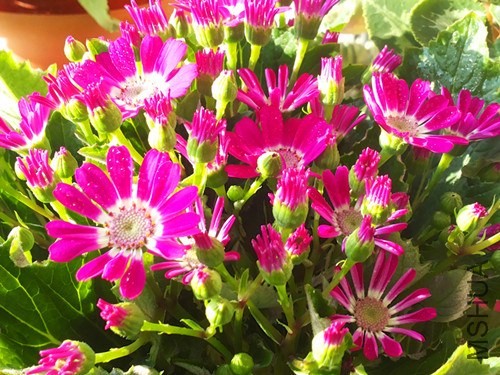 20131201_091110.jpg