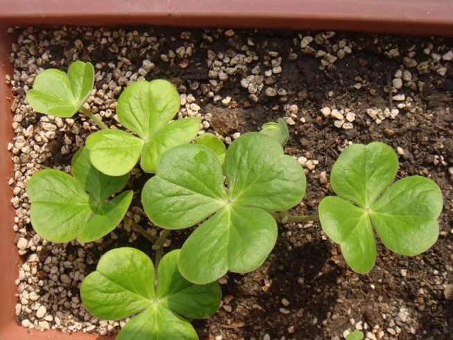 ������С DSC05050.JPG