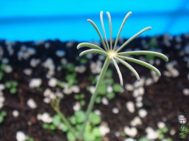 ������С DSC05058.JPG