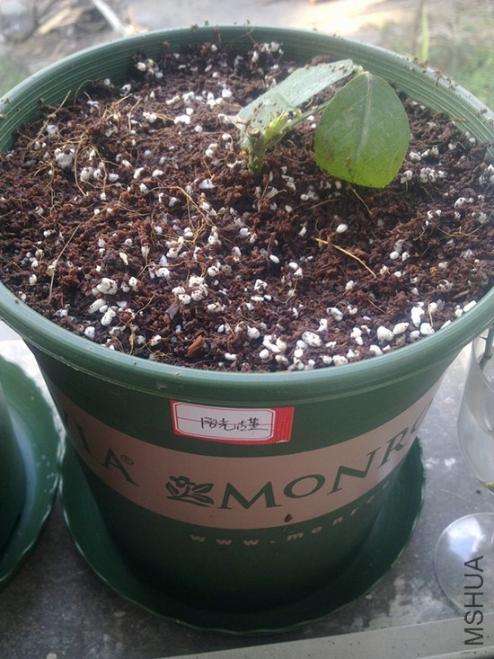 201311231486_����.jpg