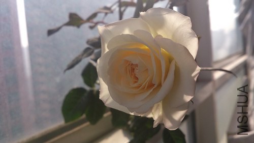 DSC_4299_����.jpg