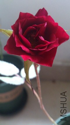 DSC_4163_����.jpg