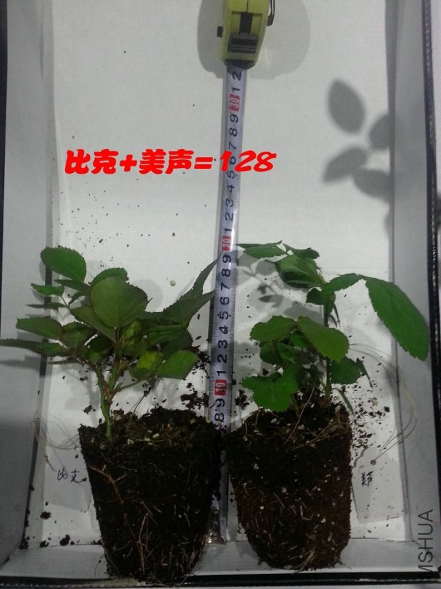 20131205_171439.jpg