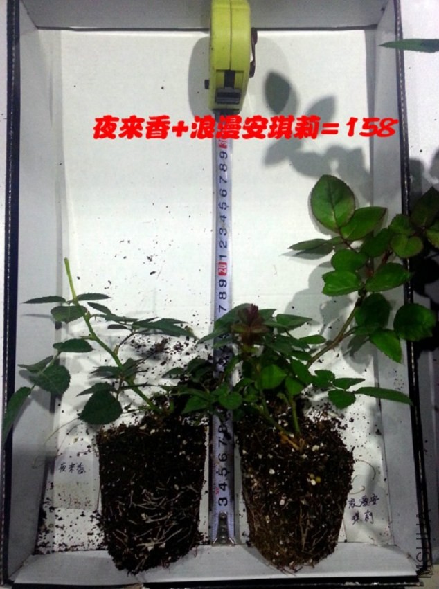 20131205_171759.jpg