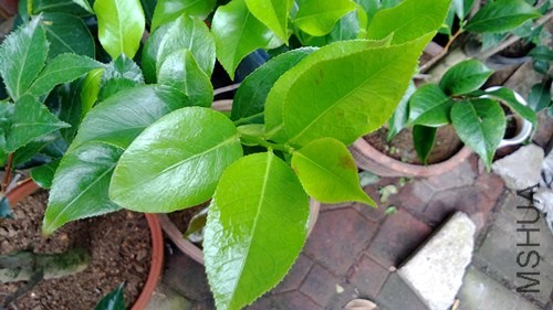 WP_20130802_009.jpg