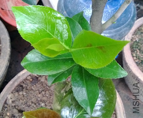 WP_20130802_015.jpg