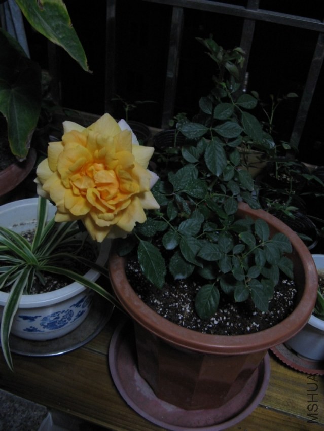��Ƭ 053.jpg
