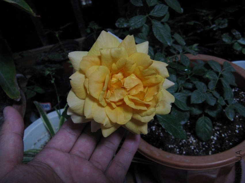 ��Ƭ 058.jpg