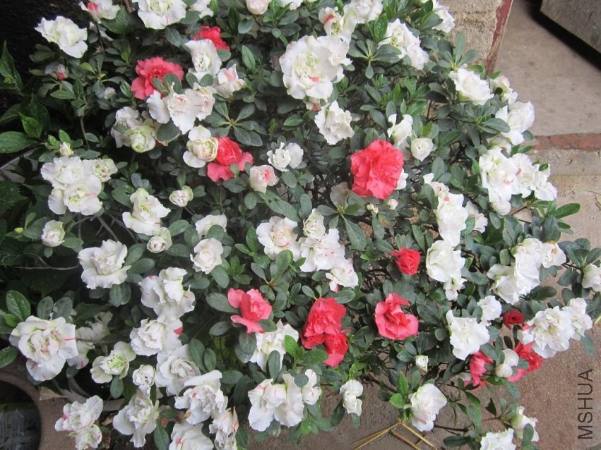 ��Ƭ 092.jpg