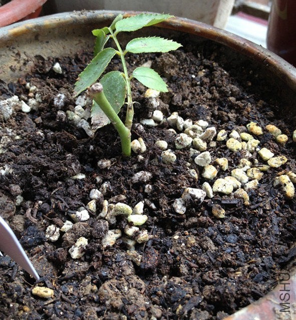 ��ø���һЩ����ϵҲ��