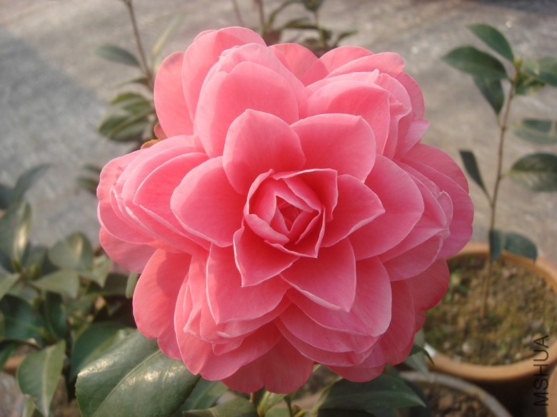 �ڶ��� (6)_����.jpg