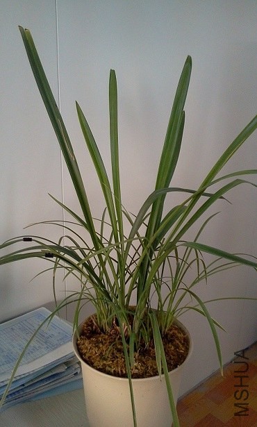 2013-12-06 12.45.53.jpg
