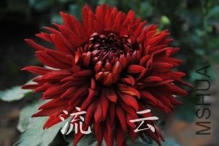 a160�ڻ�����[1].jpg