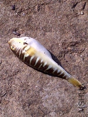 IMG-20131101-00550 (300x400).jpg