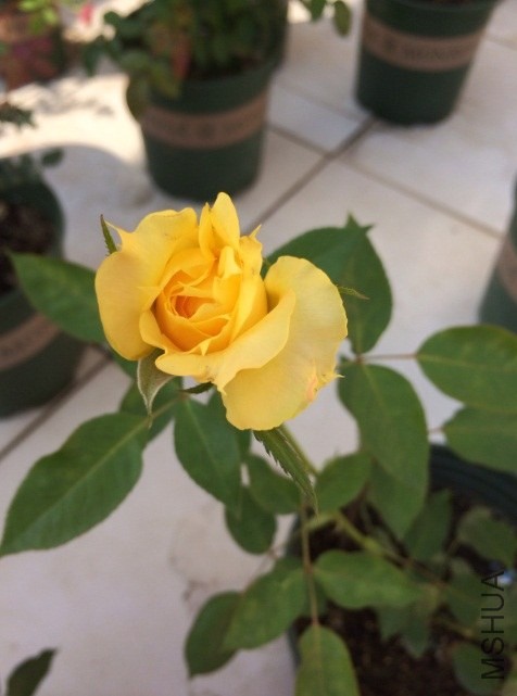 QQ��ͼ20131206133817.jpg