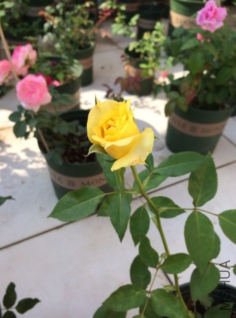 QQ��ͼ20131206133839.jpg