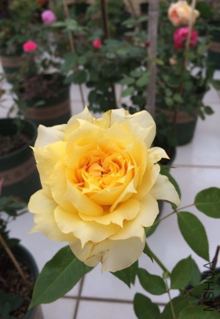 QQ��ͼ20131206134421.jpg