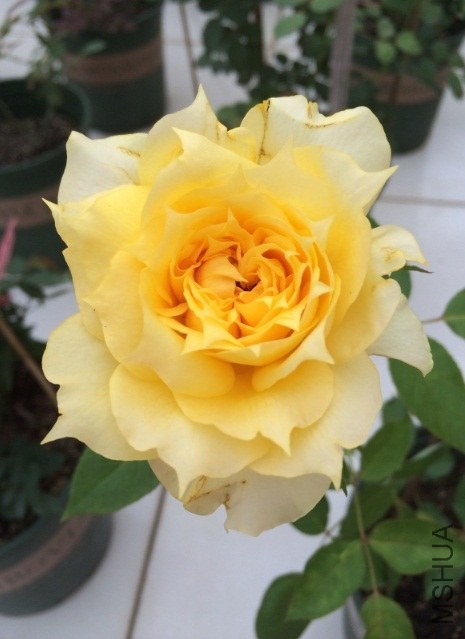 QQ��ͼ20131206134434.jpg