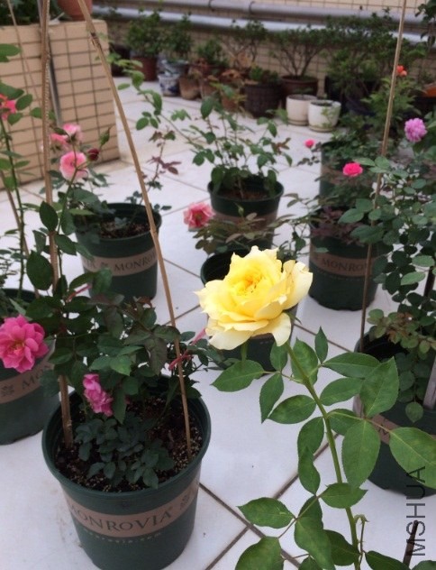 QQ��ͼ20131206134449.jpg