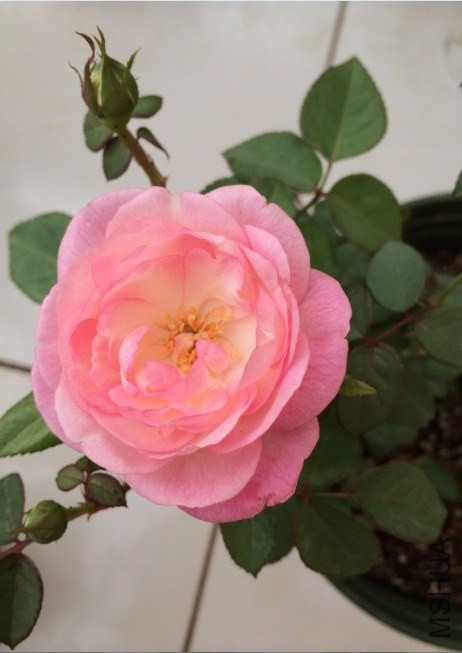 QQ��ͼ20131206130421.jpg