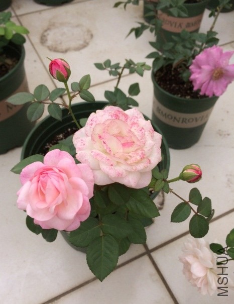 QQ��ͼ20131206131901.jpg